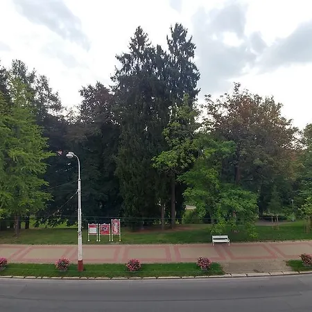 Butterfly Hlavni Mariańskie Łaźnie