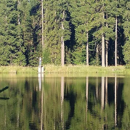 Butterfly Hlavni Apartament Mariańskie Łaźnie