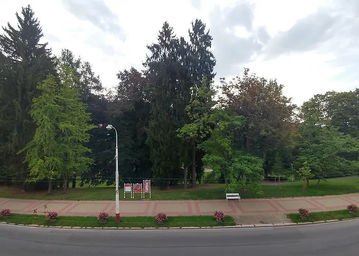 Butterfly Hlavni Mariańskie Łaźnie