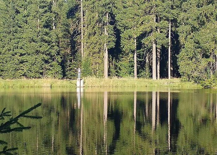 Butterfly Hlavni Apartment Mariánské Lázně
